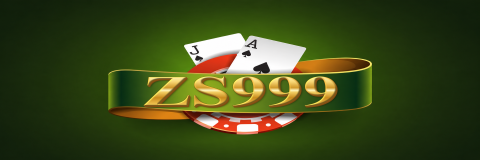 ZS999
